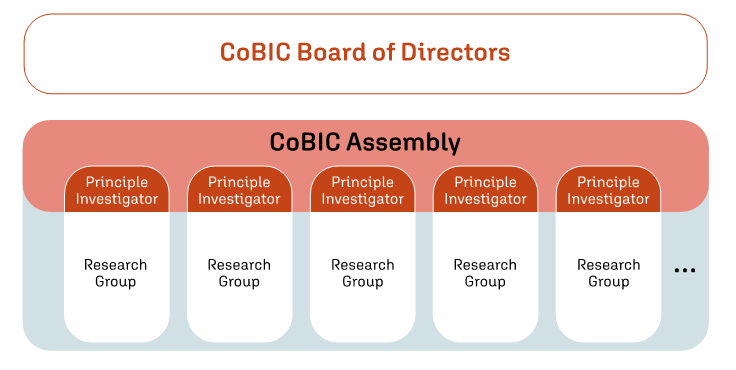 CoBIC_Structure_2